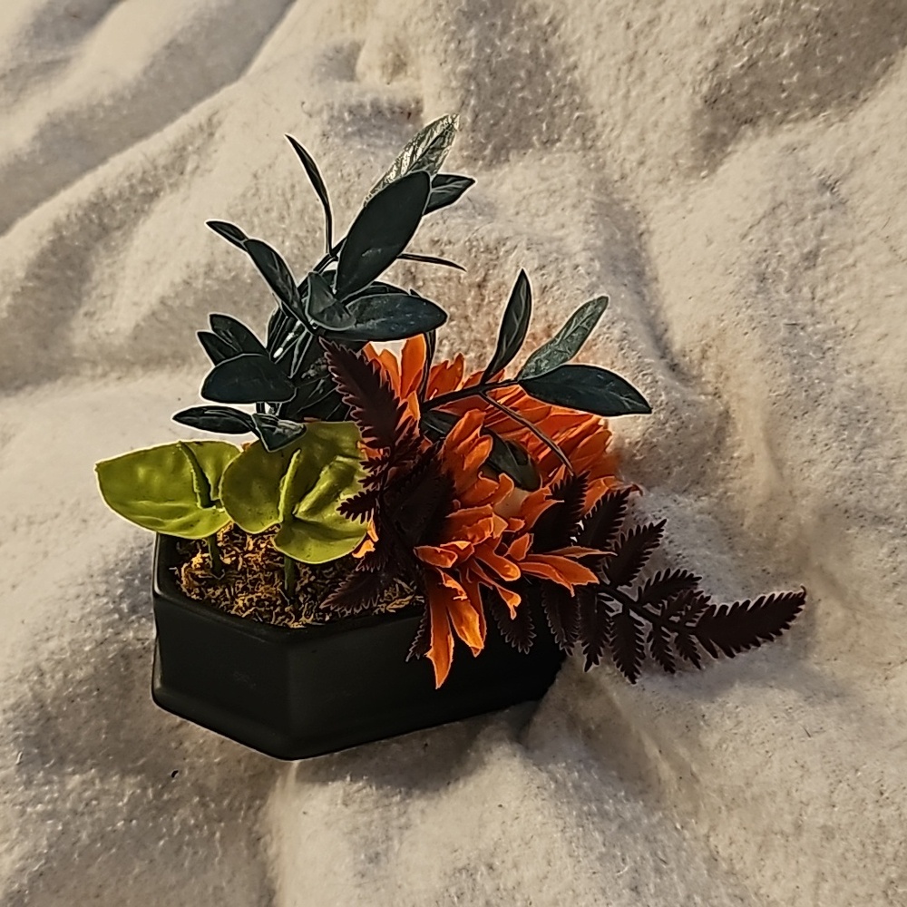 Target DISCONTINUED Coffin Shaped Vase with Fake Plants